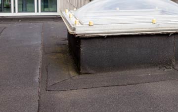 disadvantages of Eshiels flat roofs